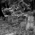 Za plastikowym szkłem - cz.3